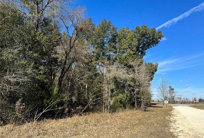 Tbd SE 148th Terrace Morriston FL 32668