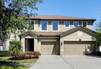 11804 Harpswell Drive Riverview FL 33579