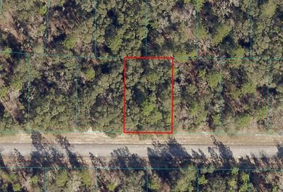 SW 137th Loop Dunnellon FL 34432