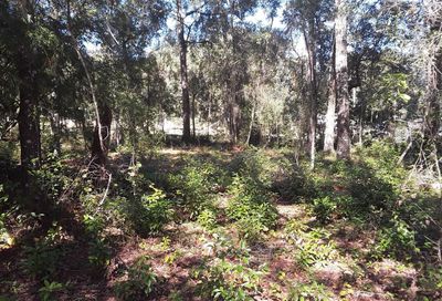 8514 N Erin Drive Crystal River FL 34428