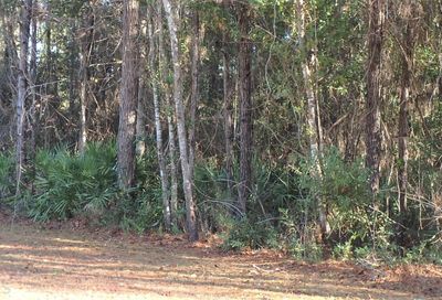 V/L 160 Misty Harbor P3 Woodbine GA 31569
