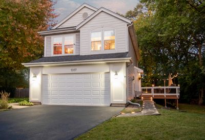 1317 Amber Court Grayslake IL 60030