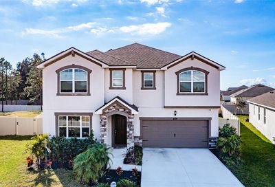 10646 Planer Picket Drive Riverview FL 33569