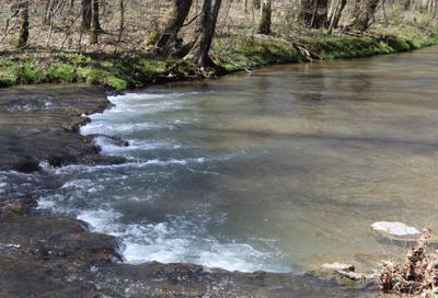 269 Spring Creek Rd Westpoint TN 38486