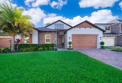 14462 Sunbridge Circle Winter Garden FL 34787