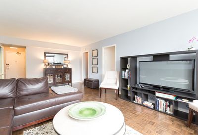 253 E Delaware Place Chicago IL 60611