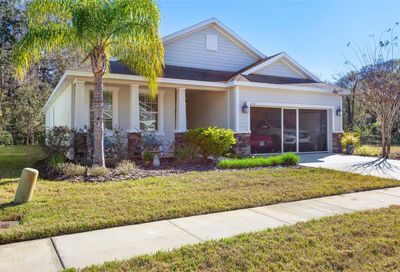 11354 Merganser Way New Port Richey FL 34654
