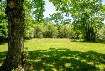 7103 Kyles Creek Dr Fairview TN 37062