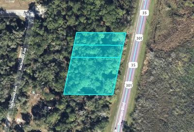 Treiman Boulevard Webster FL 33597