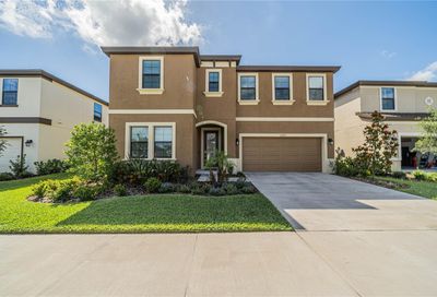 12417 Horseshoe Bend Drive Lithia FL 33547
