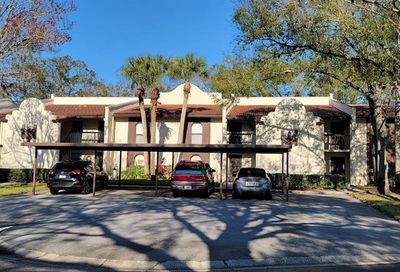 3505 Tarpon Woods Boulevard Palm Harbor FL 34685