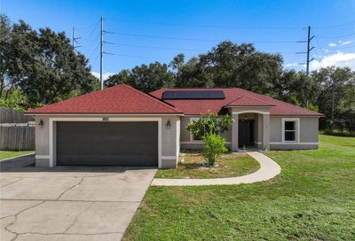 1105 Windy Bluff Drive Minneola FL 34715