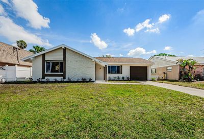 3646 Springfield Drive Holiday FL 34691