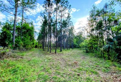 W Garon Cove Geneva FL 32732