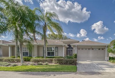 2007 Grantham Greens Drive Sun City Center FL 33573