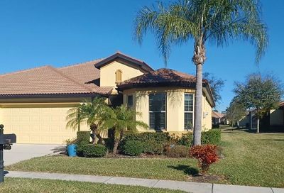 5546 Sunset Falls Drive Apollo Beach FL 33572