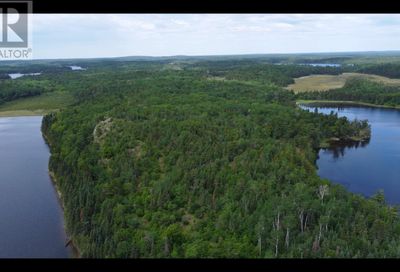 PARCEL D.181 LAKE OF THE WOODS Kenora ON P0X1C0