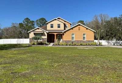 19158 Red Bird Lane Lithia FL 33547