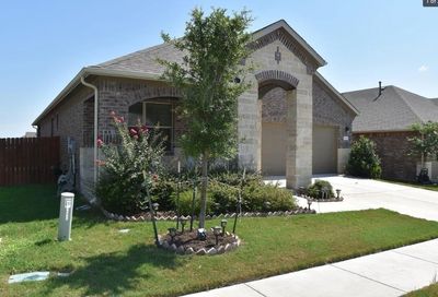 16412 Vescovo Lane Pflugerville TX 78660