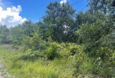 4543 SE Wheat Avenue Arcadia FL 34266