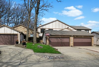 1117 Wheaton Oaks Drive Wheaton IL 60187