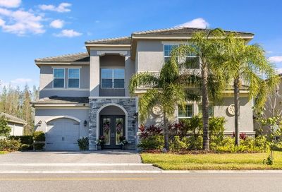 30675 Chesapeake Bay Drive Wesley Chapel FL 33543