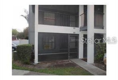 4026 Angel Oak Court Tampa FL 33613
