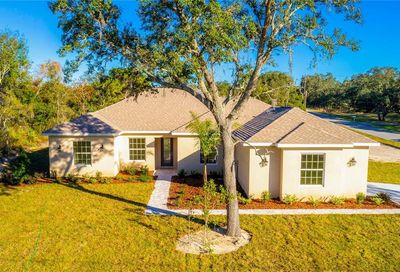 16125 Donney Moor Lane Spring Hill FL 34610