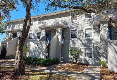 7164 E Bank Drive Tampa FL 33617