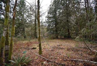 380 E Olde Lyme Road Shelton WA 98584
