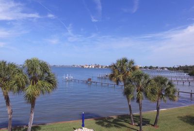 100 Bluff View Drive Belleair Bluffs FL 33770