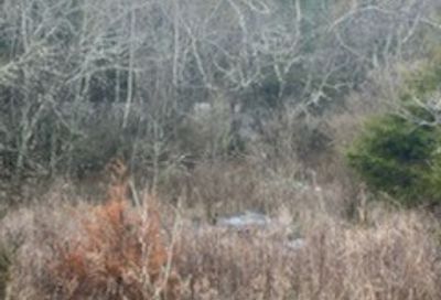 1344 Starnes Mill Rd Franklin TN 37067