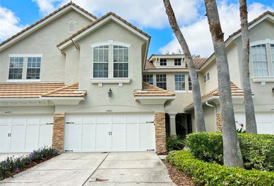 14411 Mirabelle Vista Circle Tampa FL 33626