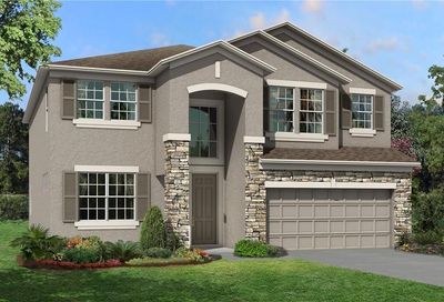 3141 King Fern Drive Wimauma FL 33598