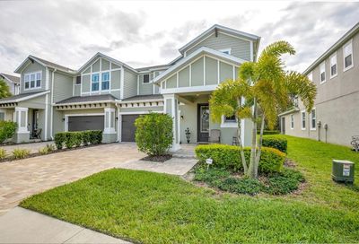 593 Ozona Village Drive Palm Harbor FL 34683