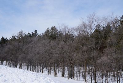 Xxx Shadowwood Drive Sauk Rapids MN 56379