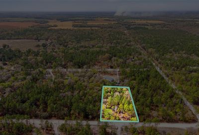 16th Avenue Bell FL 32619