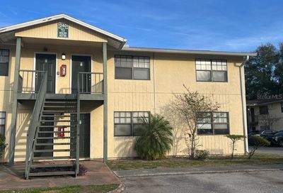 12401 Hibiscus Oak Place Tampa FL 33612