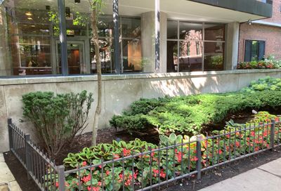 3100 N Lake Shore Drive Chicago IL 60657