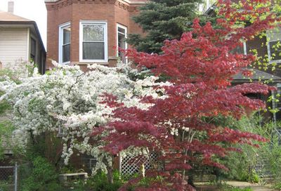 1430 W Warner Avenue Chicago IL 60613