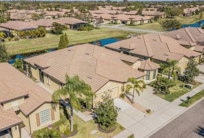 311 Mystic Falls Drive Apollo Beach FL 33572