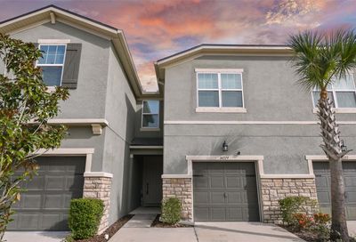 14229 Damselfly Drive Tampa FL 33625