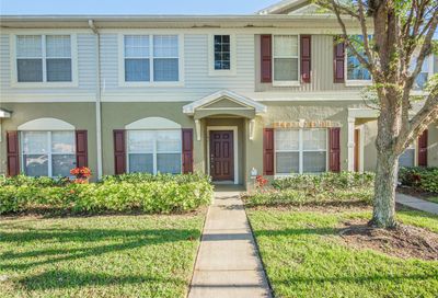 12421 Foxmoor Peak Drive Riverview FL 33579
