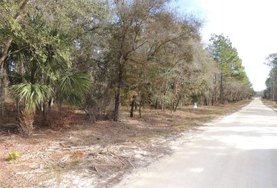 11791 SE 55th Lane Morriston FL 32668