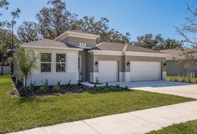 2931 Gator Crossing Place New Port Richey FL 34655