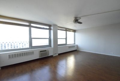 1255 N Sandburg Terrace Chicago IL 60610