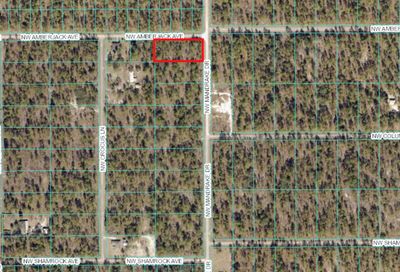Lot 20 NW Mandrake Drive Dunnellon FL 34431