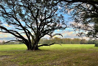 Lot 2 SW 15th Avenue Newberry FL 32669
