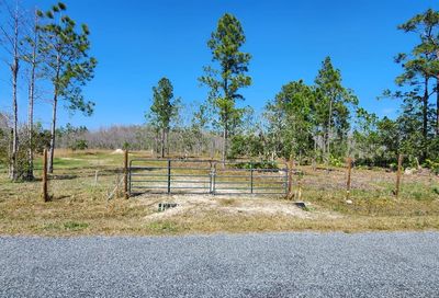 Helena Drive Saint Cloud FL 34772