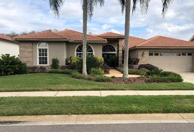 2691 Saddlewood Lane Palm Harbor FL 34685
